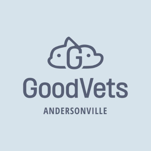 Company Logo For GoodVets Andersonville'