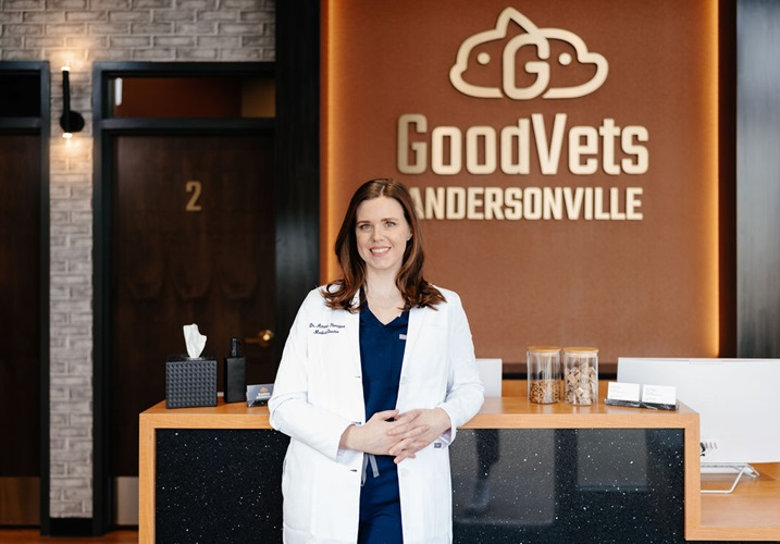 Company Logo For GoodVets Andersonville'