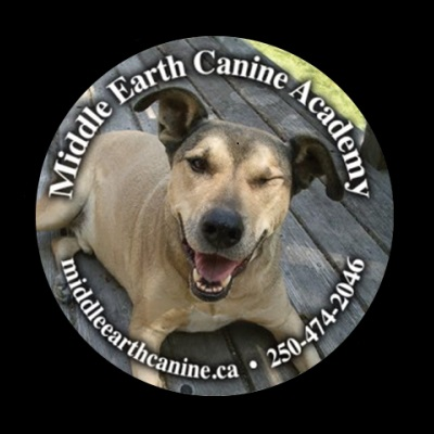 Middle Earth Canine Academy Logo