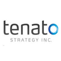 Tenato Strategy Inc. Logo