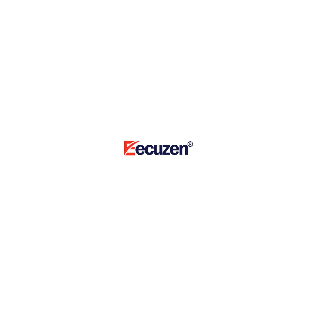 Company Logo For Ecuzen Software Pvt. Ltd'