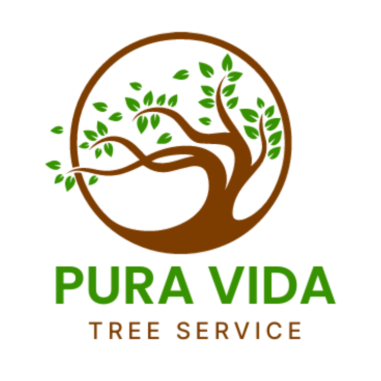 Pura Vida Tree Service