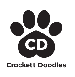 Company Logo For Crockett Doodles'