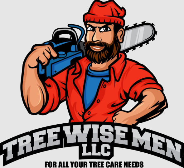 Company Logo For Tree Wise Men LLC'