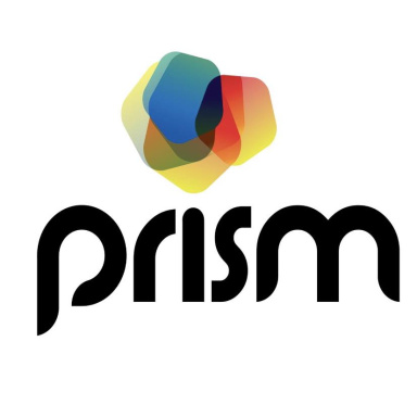 Company Logo For Prism Digital'