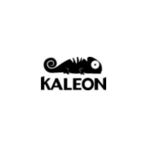 Company Logo For Kaleon Wallpaper'