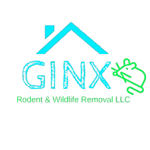 Company Logo For Ginx Rodent and Wildlife Removal LLC'