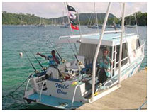 PandO Shore Excursions in Vanuatu'