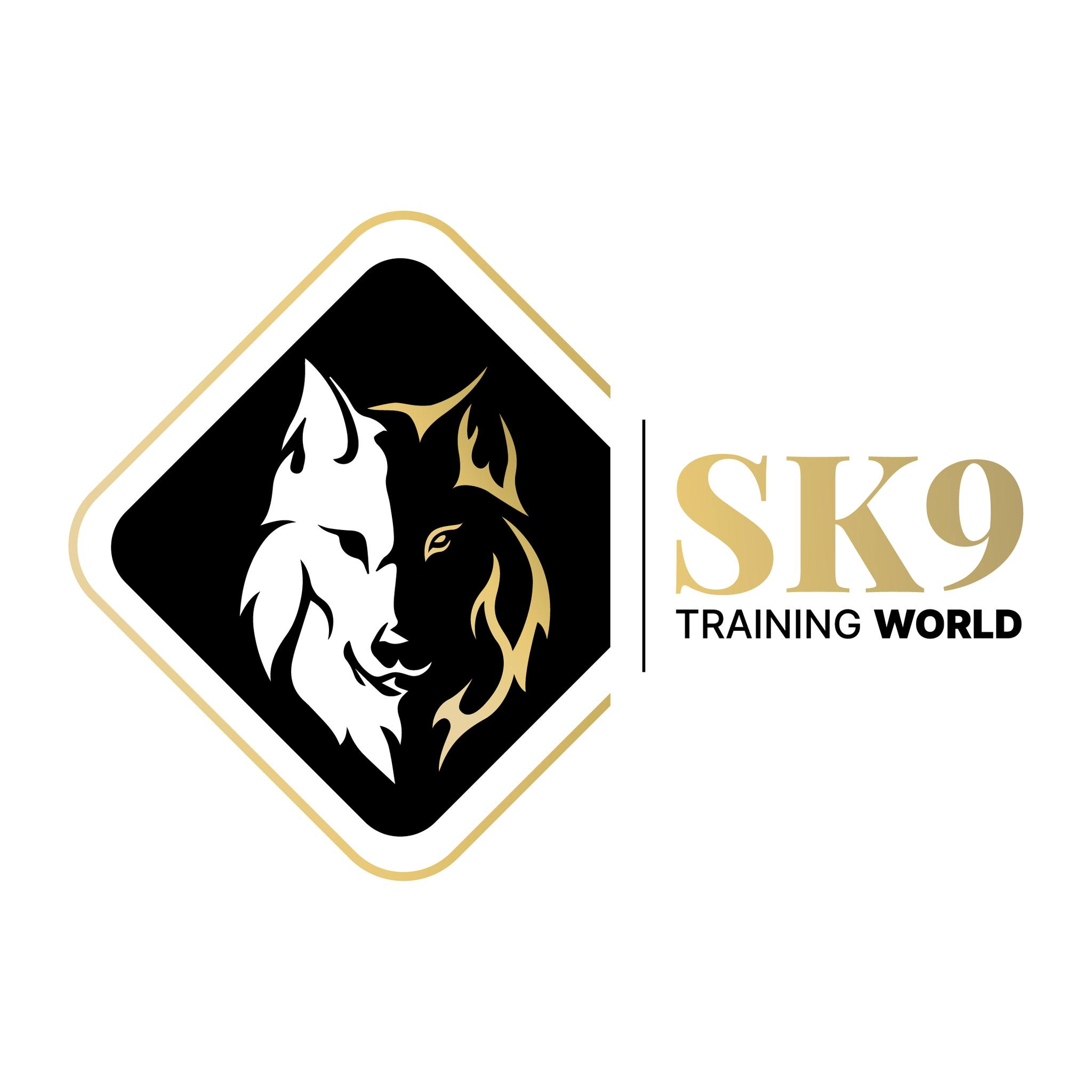 SK9 Training World