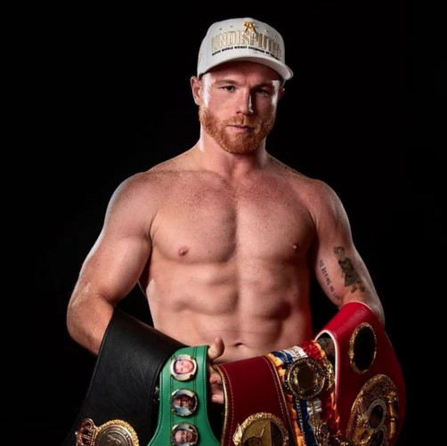 Company Logo For Canelo Merch'