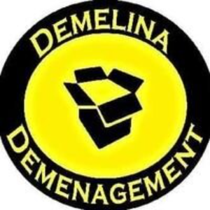 Demelina Moving'