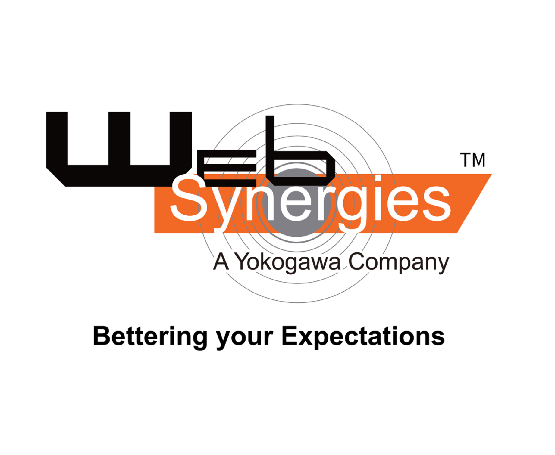 Web Synergies'