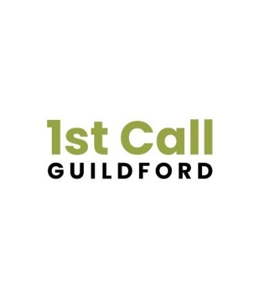 logo'