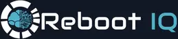 Company Logo For Rebootiq Infotech'