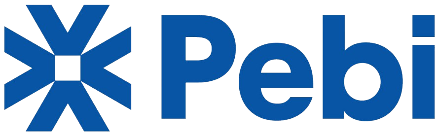Pebi Technologies: software development services