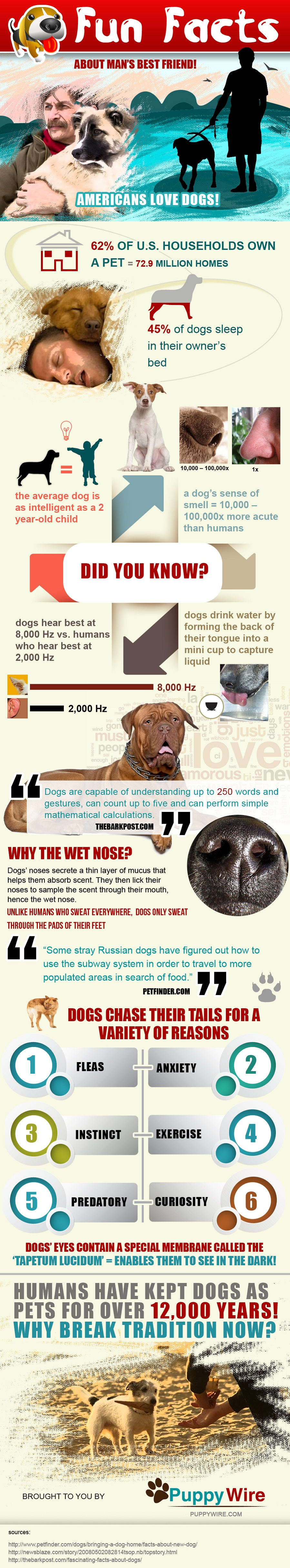 Puppywire.com'
