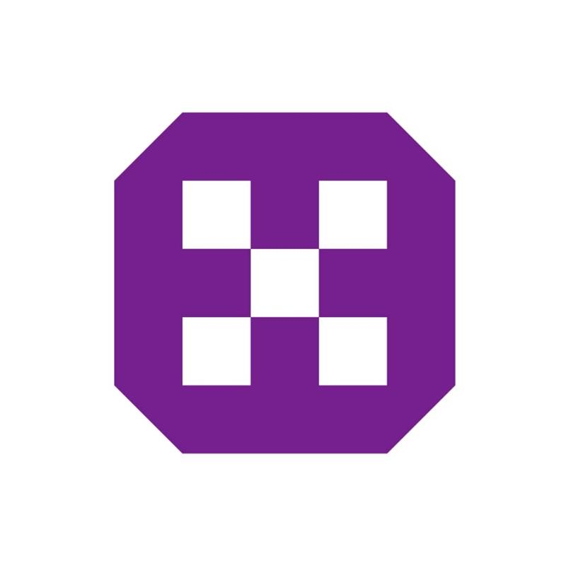 Torrent Electricals Ltd