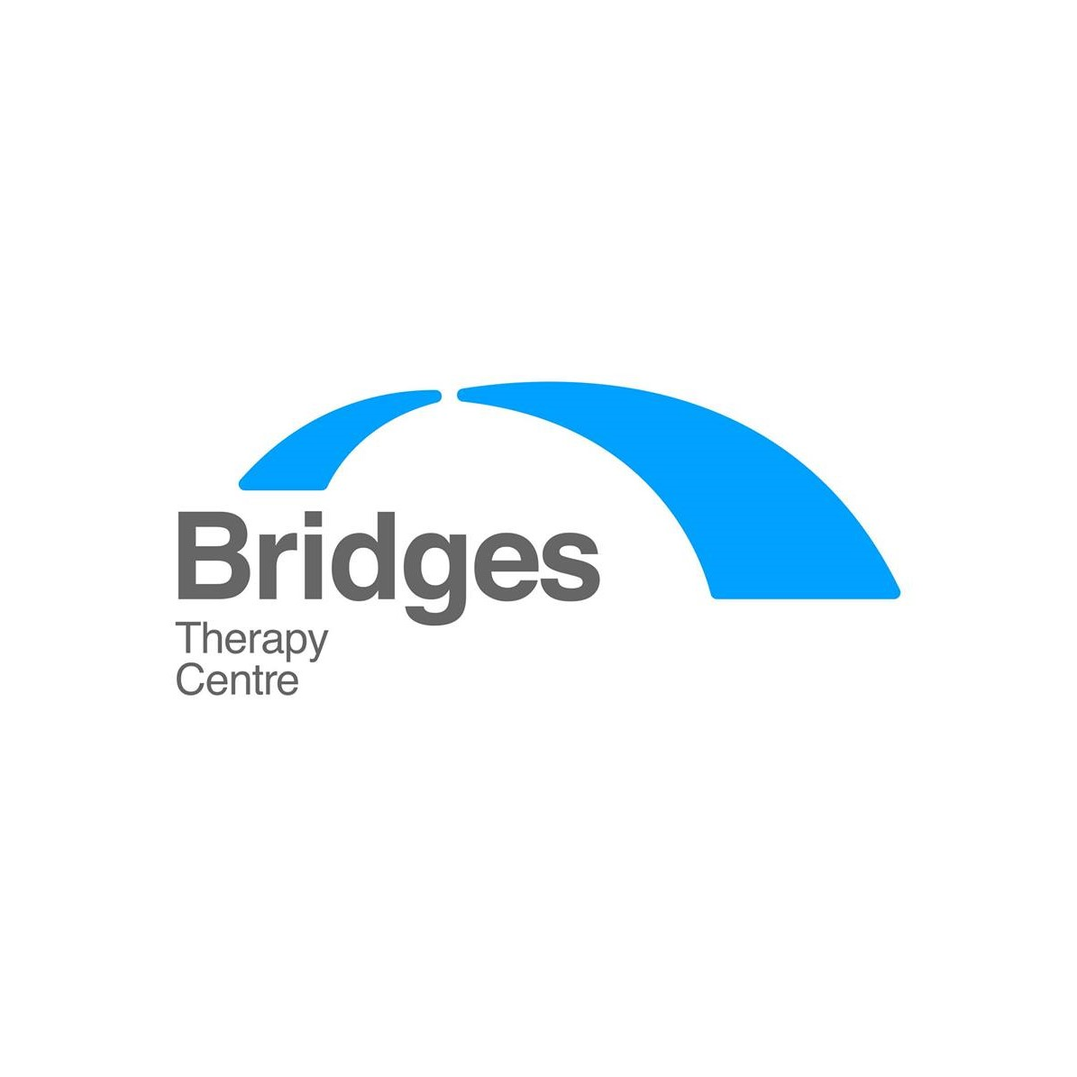 Company Logo For Bridges Therapy Centre'