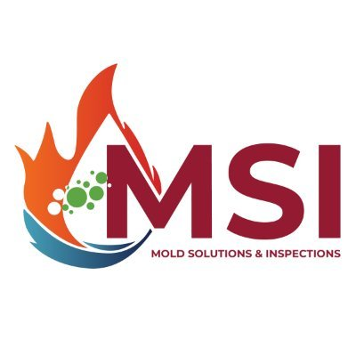 Mold Solutions & Inspections'