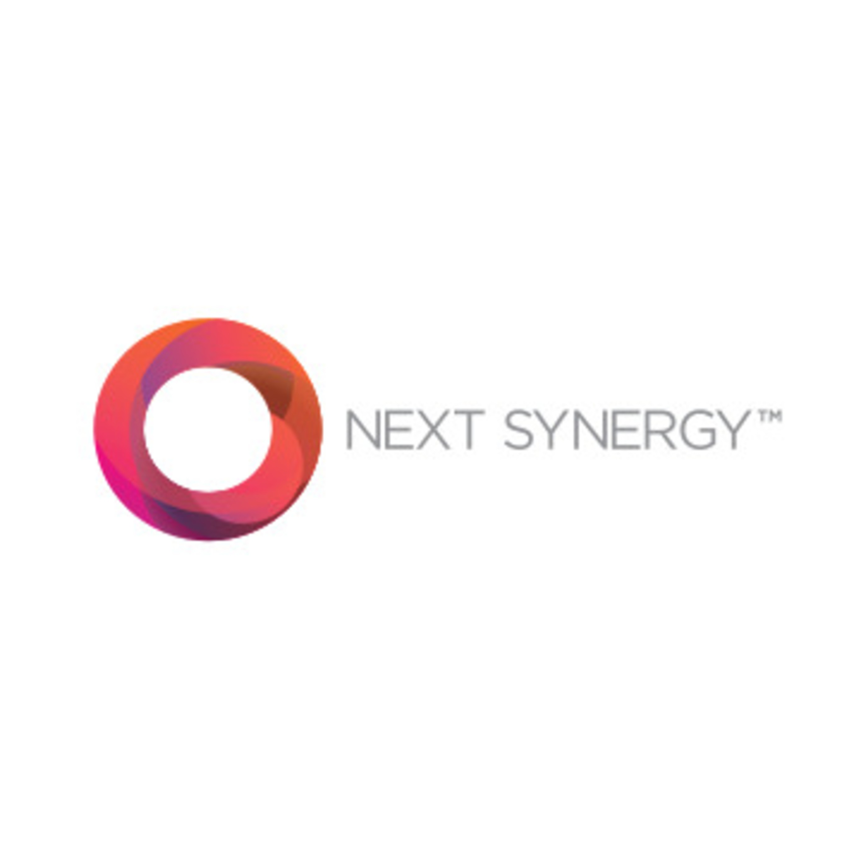 Company Logo For NEXT SYNERGY'
