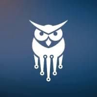 Company Logo For Cyber Wise Consulting'