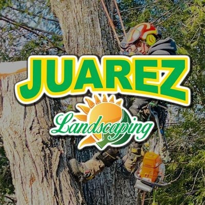 Juarez Landscaping Tree Services