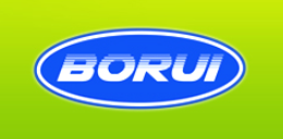 Company Logo For Liaoning Borui Machinery Co., Ltd'