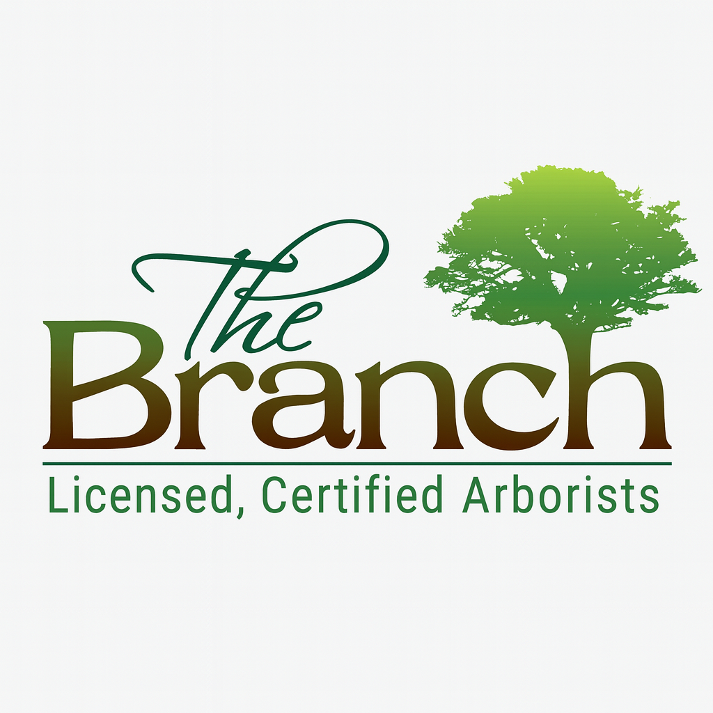 The Branch'