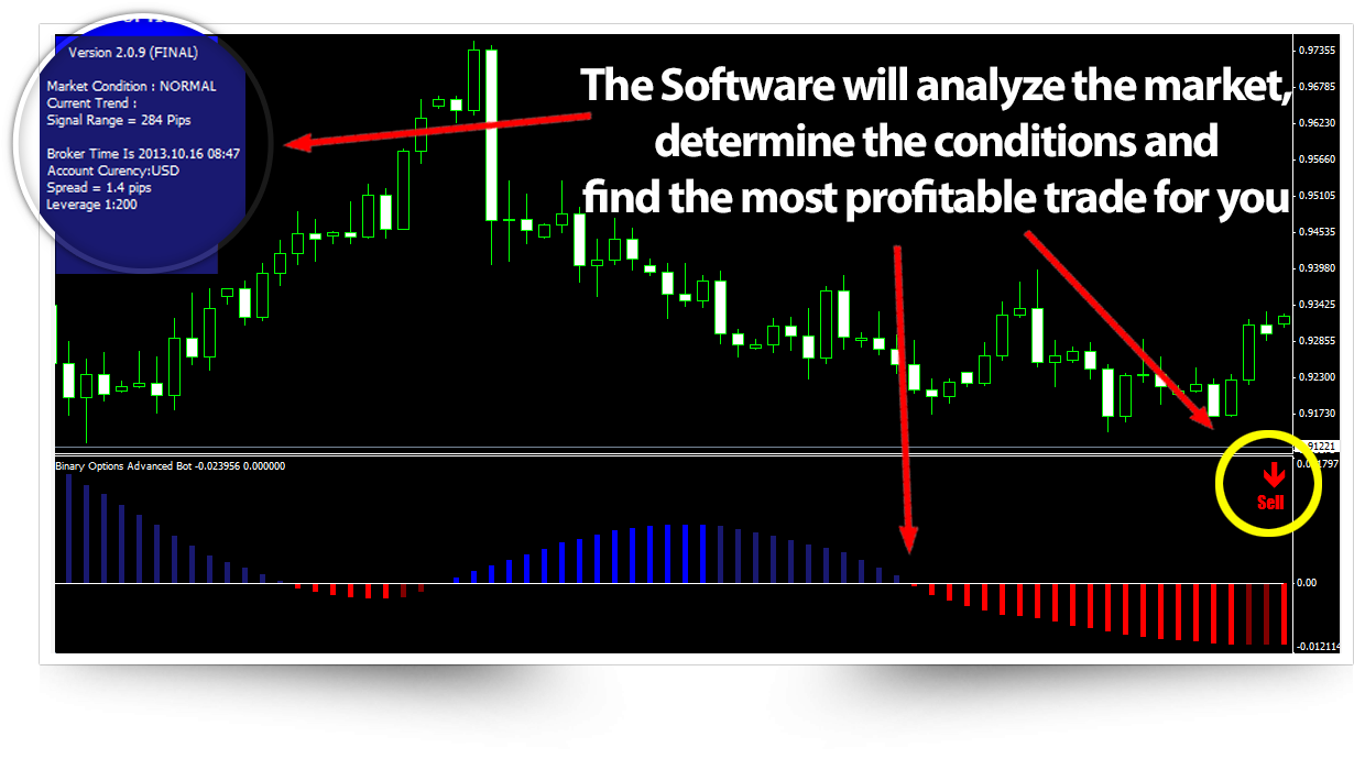Binary Loopholes Exposed'