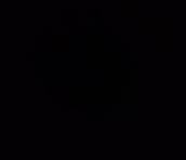 Company Logo For sd'