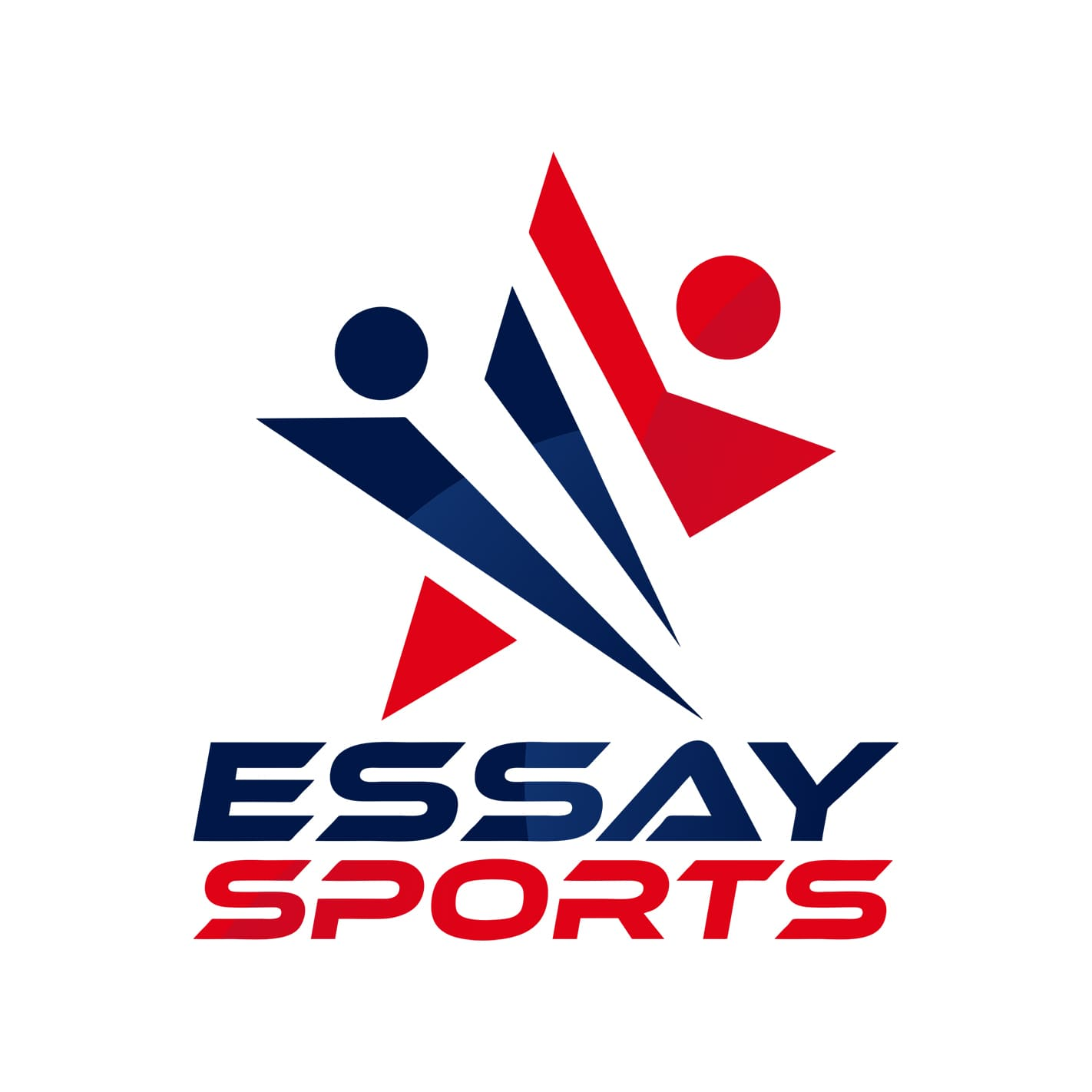 Essay Sports