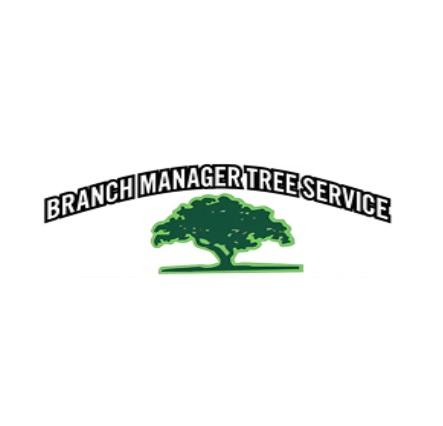 Branch Manager Tree Service