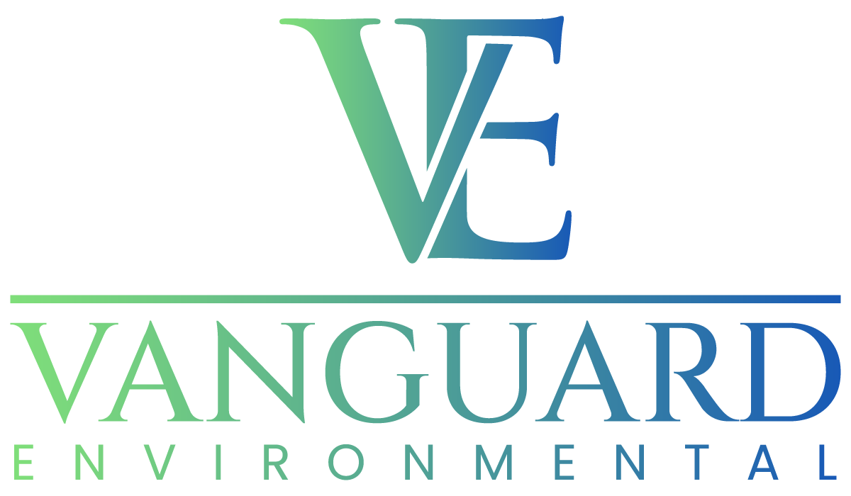 Vanguard Environmental Services International