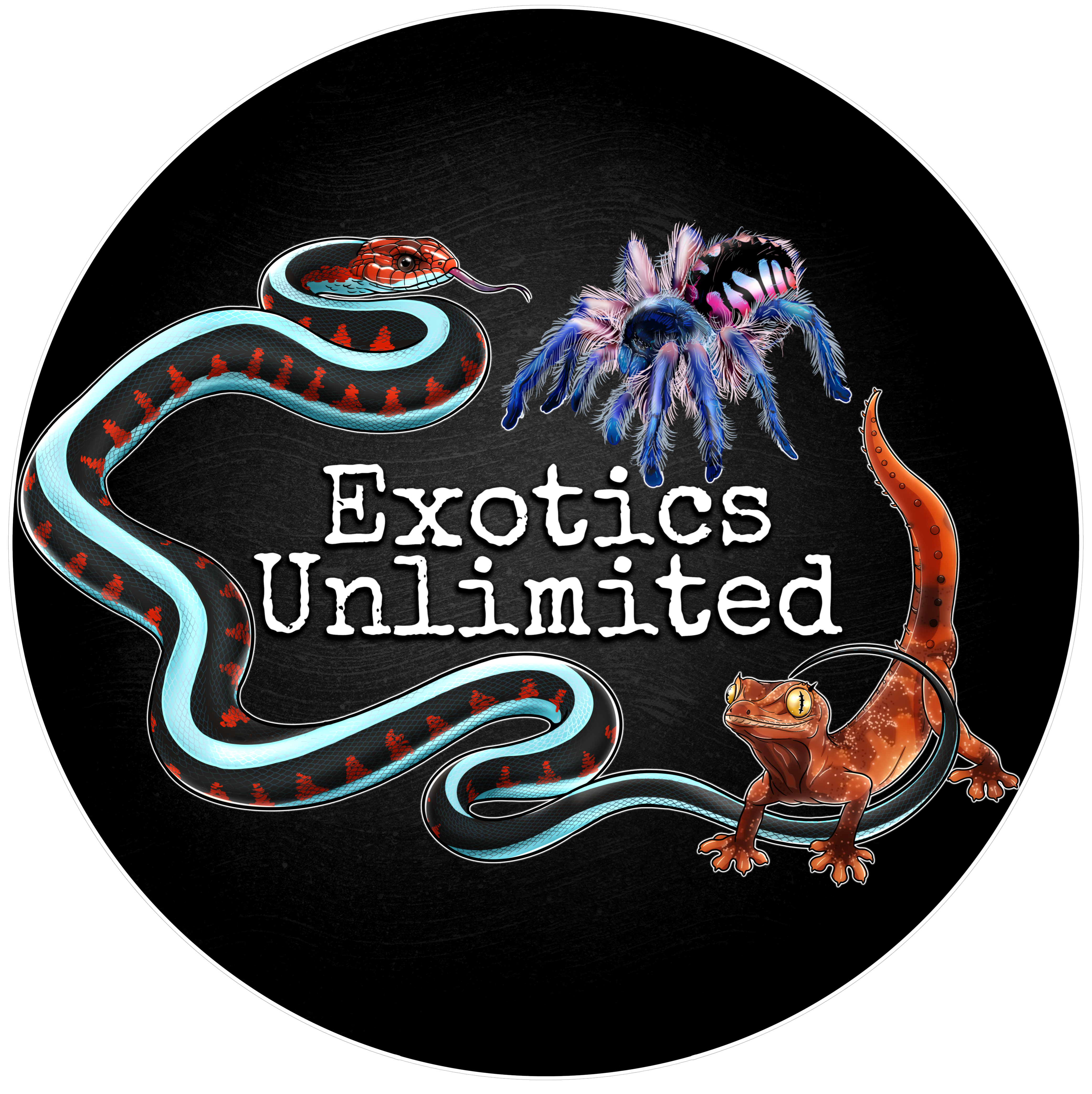 Company Logo For Exotics Unlimited'