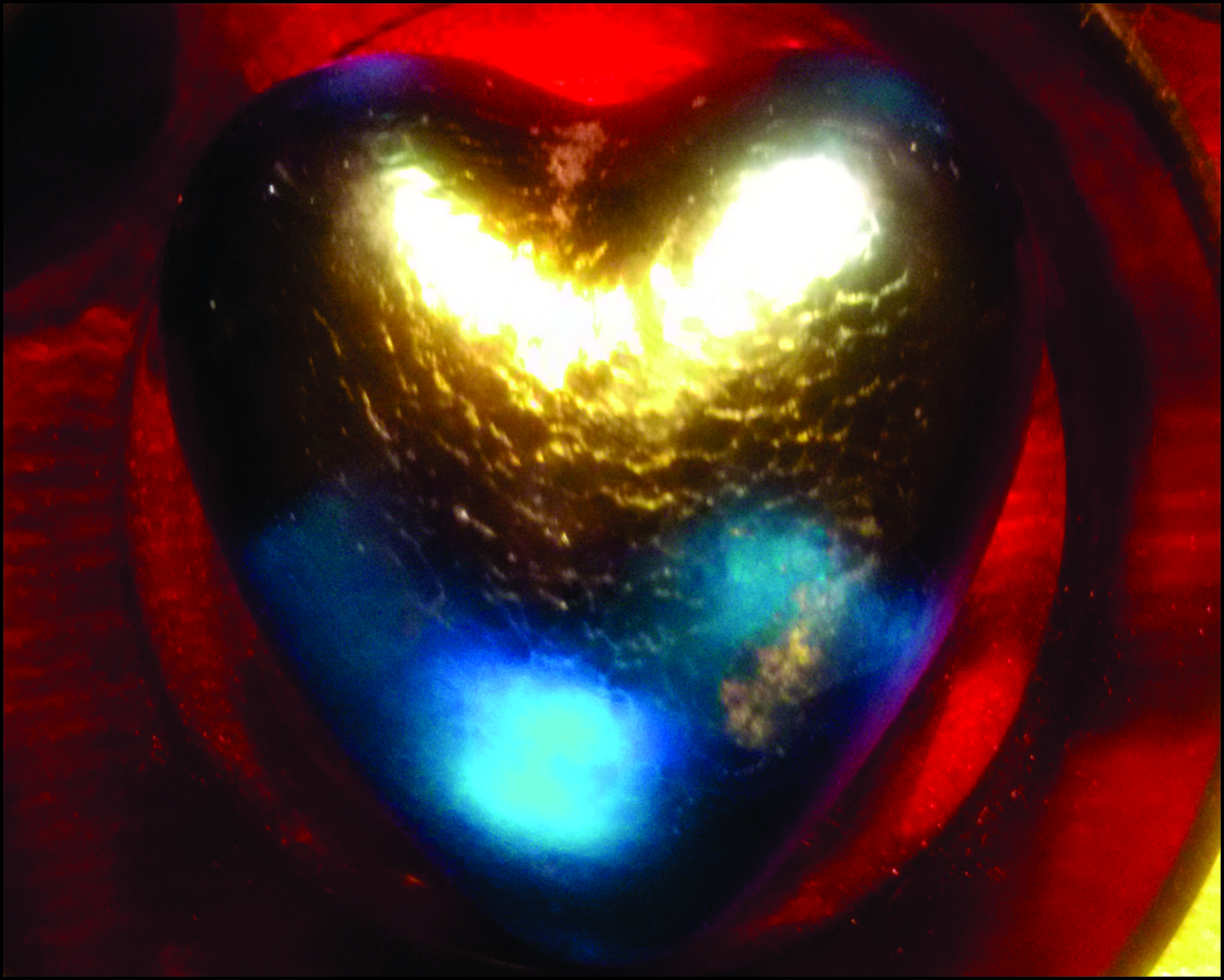 Song Rises, Love Feeds