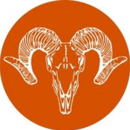 Company Logo For Baja Rock Pirate Backcountry Adventures'