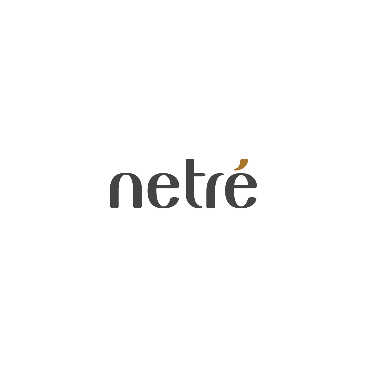 Company Logo For Netre Science City'