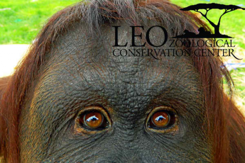 LEO Zoological Conservation Center'