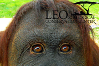 LEO Zoological Conservation Center
