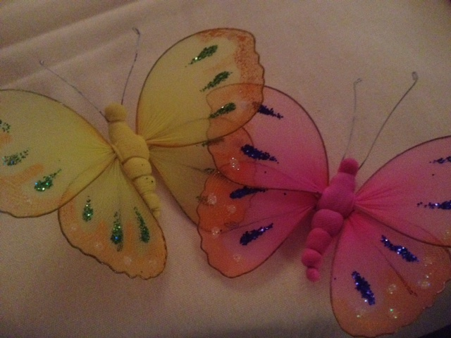 MENTORS INTERNATIONAL butterfly's