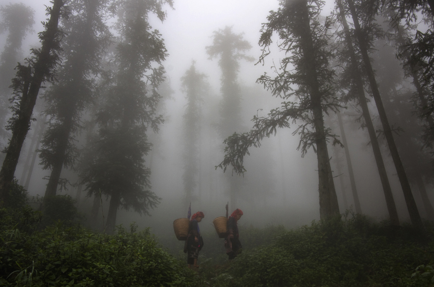 Vietnam 40 Years Later