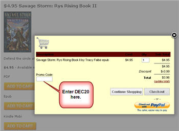 Checkout Screenshot showing where to enter coupon code'