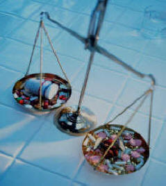 US Drug Watchdog Drug Justice'