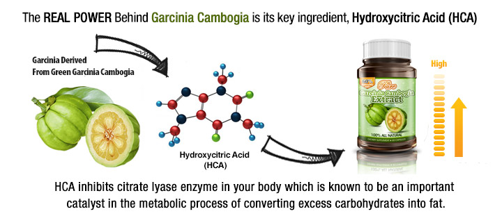 garcinia cambogia
