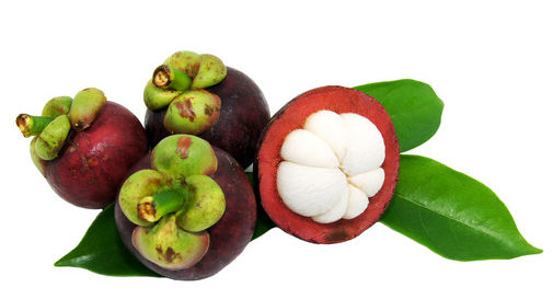 Top Garcinia Cambogia Reviews'