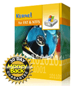 Kernel Data Recovery