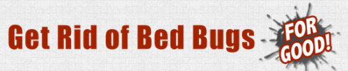 how to get rid of bed bugs'