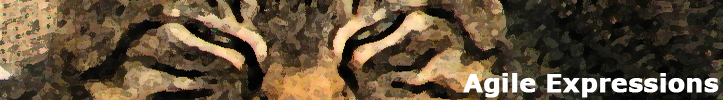 Agile Expressions LOGO'