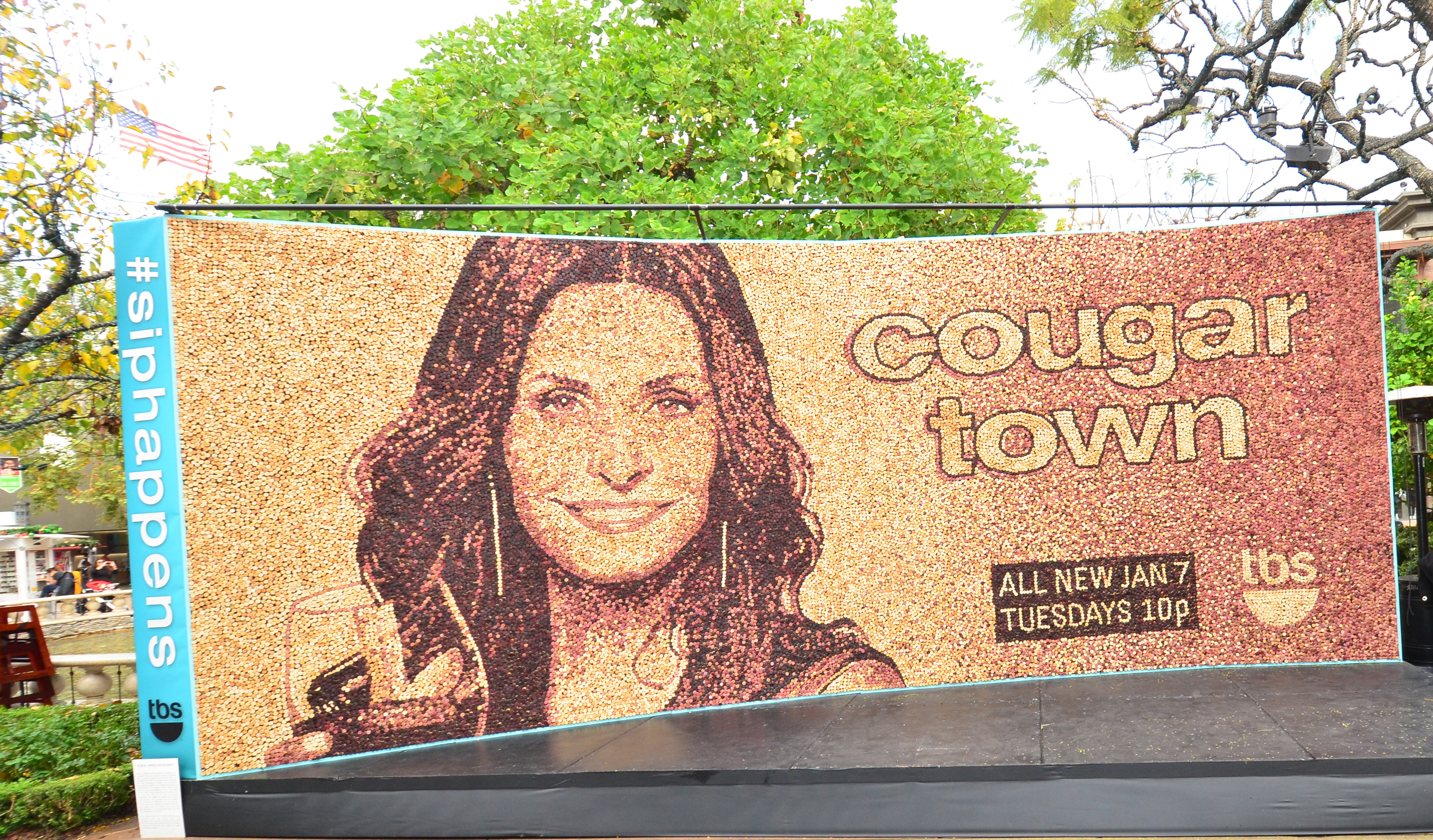 Cougar Town