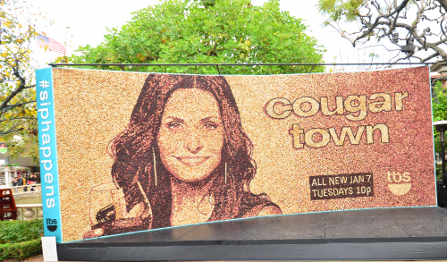Cougar Town'